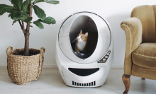 a cat sits inside a self-cleaning litter box that looks like a spaceship