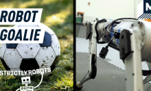 A side by side image of a soccer ball and a Mini Cheetah robot