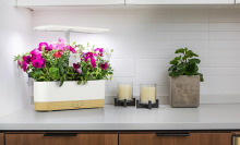 A white smart pot with multiple plants is lying on a counter next to a few plants.