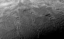 NASA Cassini flying over Enceladus