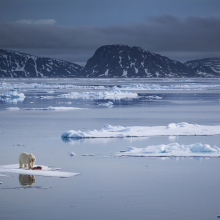 Arctic sea ice hits 2nd-lowest seasonal peak as scientists ring alarm bells