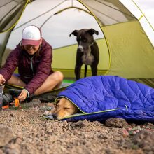 Dog snuggled in a sleeping bag next to a person sitting in a tent