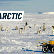 CAPTION: ANTARCTIC SPY. A penguin (on the left) is looking at a small yellow robot (on the right). The penguin's colony is visible at the background. Behind them a clear blue sky meets the Antarctic landscape.