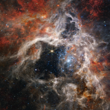 the Tarantula Nebula 