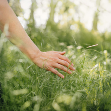 Close-Up Of Hand Touching Tall Grass On Field
