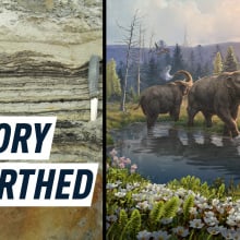 Split screen shows layers of ancient soil on the left, and an artists interpretation of what the Arctic might have looked like a few million years ago. Caption reads: "History undearthed"