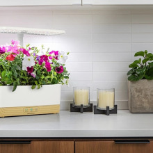 A white smart pot with multiple plants is lying on a counter next to a few plants.