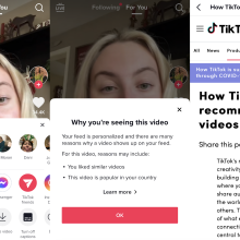 Screenshot of TikTok's "why this video" feature