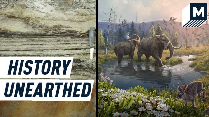 Split screen shows layers of ancient soil on the left, and an artists interpretation of what the Arctic might have looked like a few million years ago. Caption reads: "History undearthed"