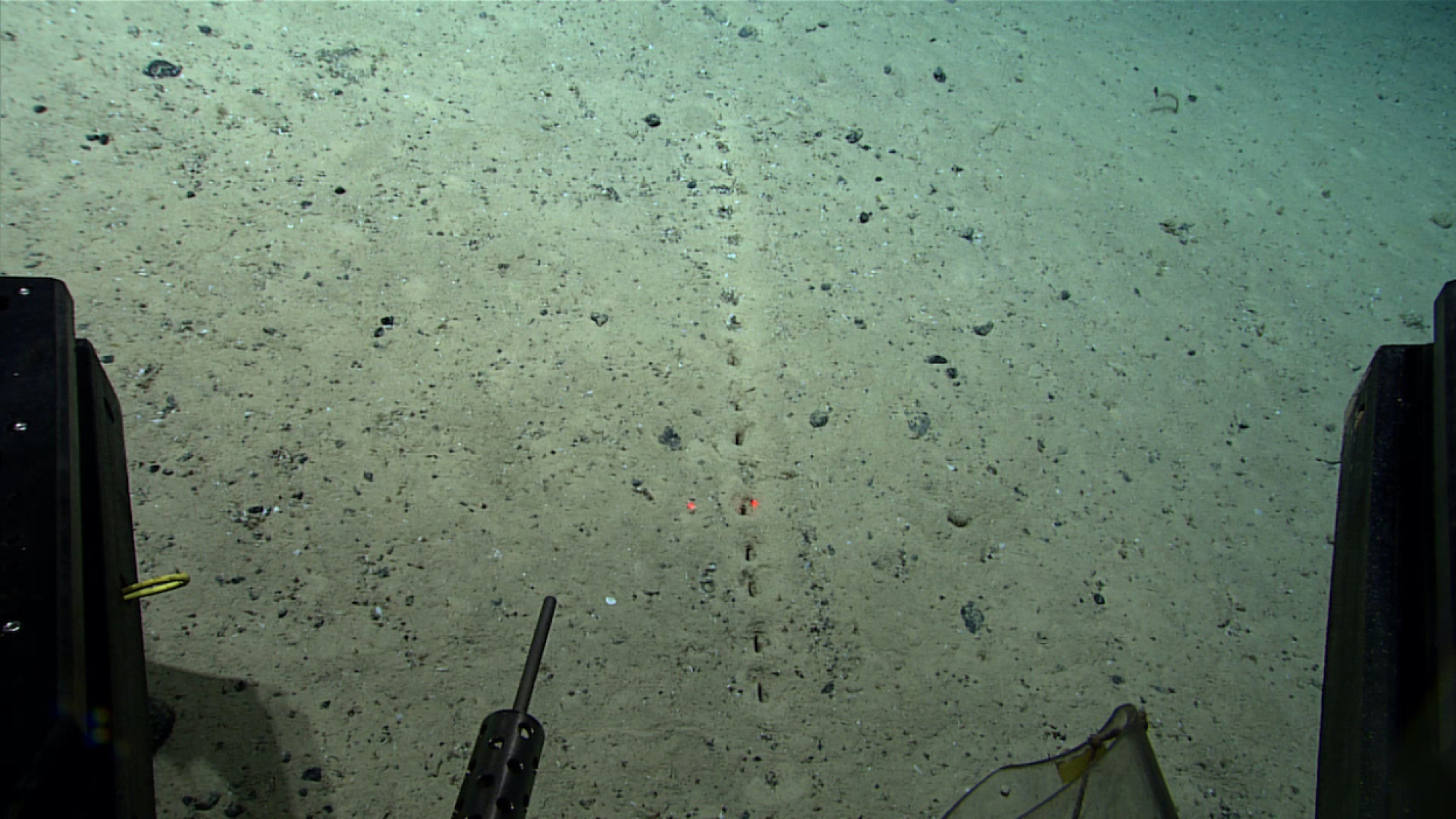 a line of holes on the seafloor