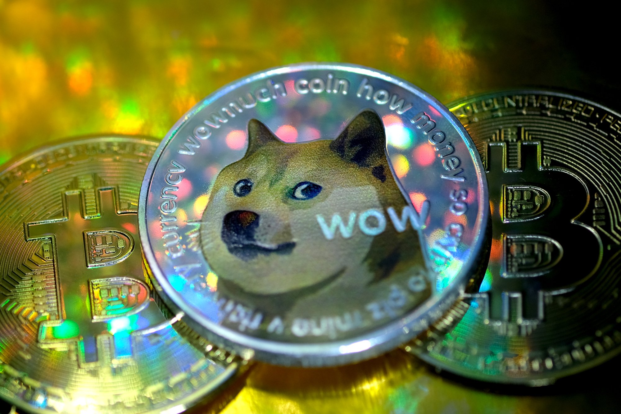 A quarter-sized coin bearing the face of Kabosu the Shiba Inu with "wow" written in comic sans.