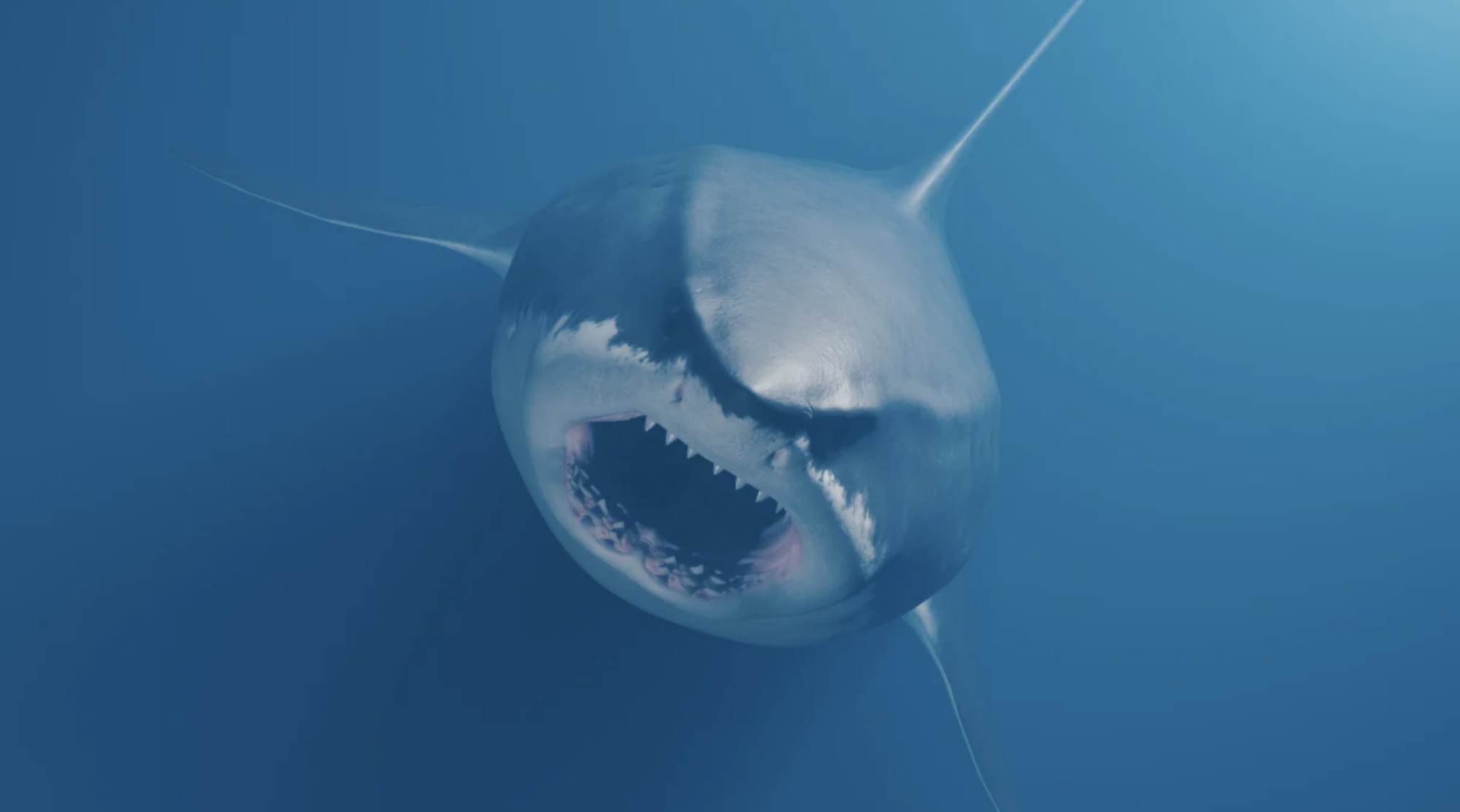 a shark swimming up from the ocean depths