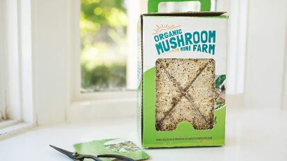 an organic mushroom grow kit in its box next to a pair of shears