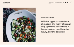 a screenshot of the squarespace template stanton